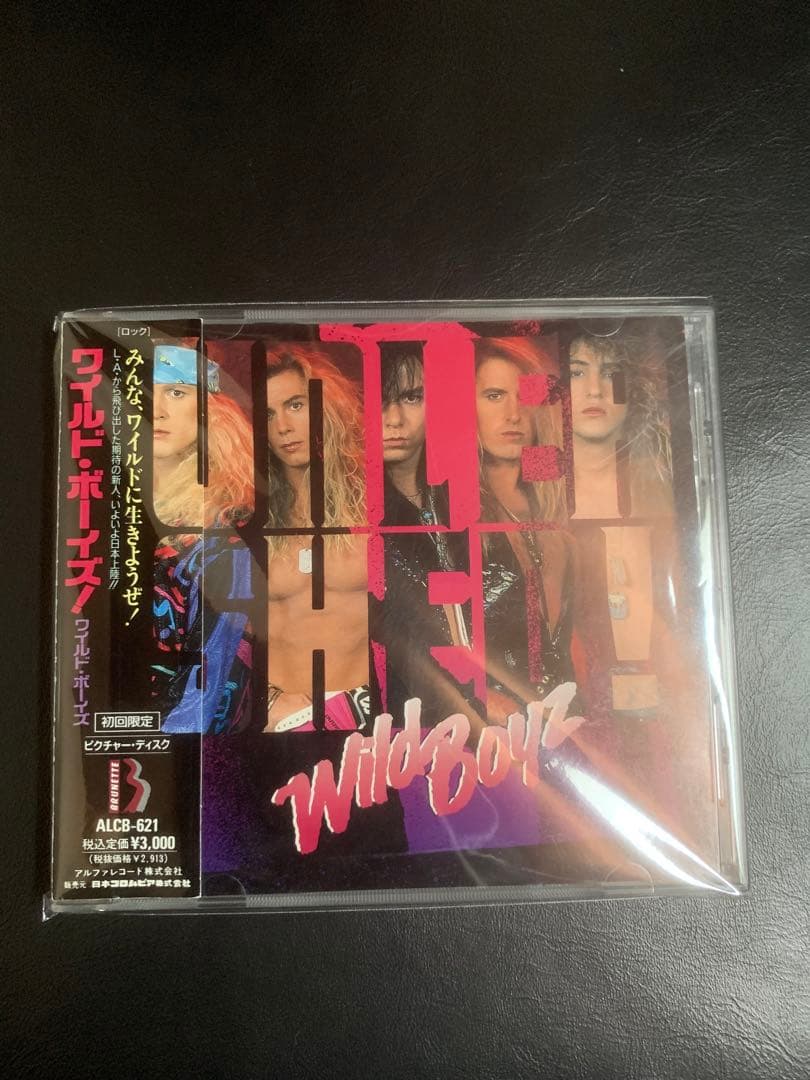 洋楽 wild boyz