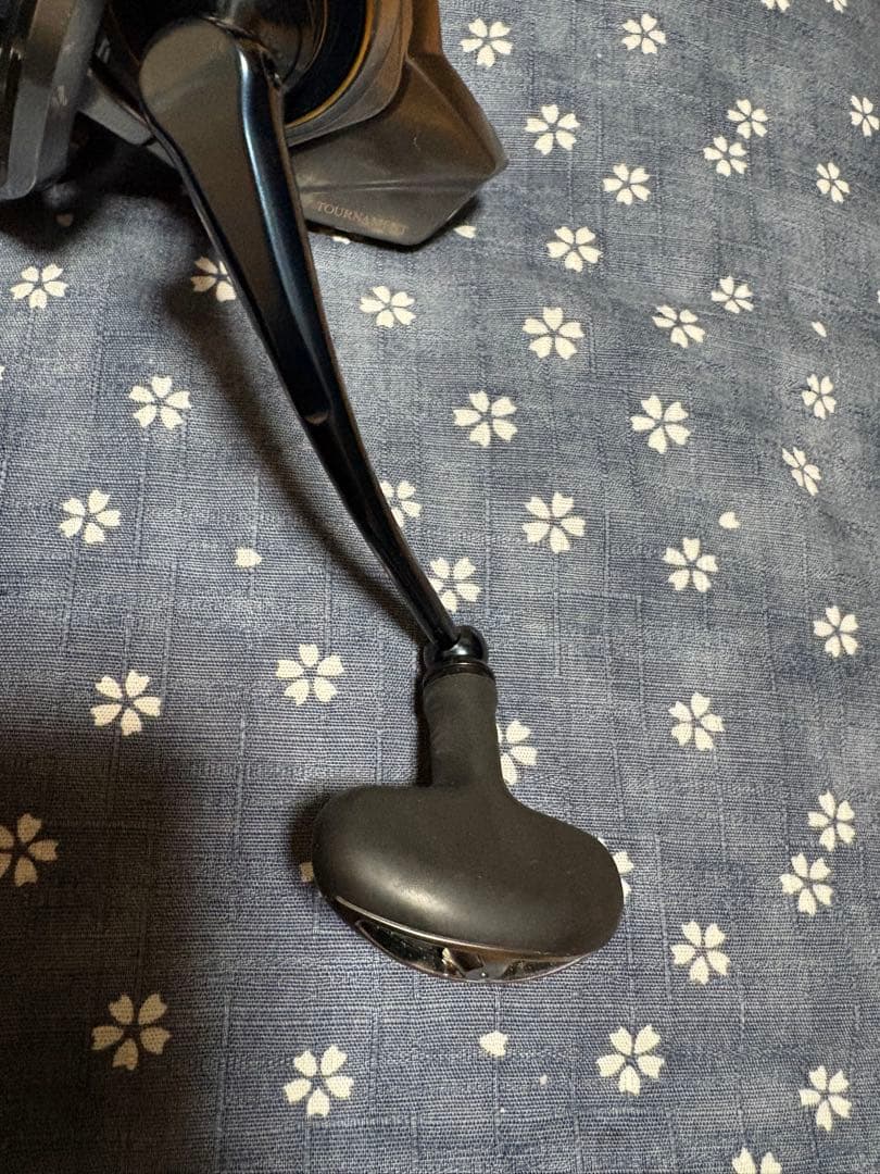 ダイワ　19トーナメントサーフ45 06PE