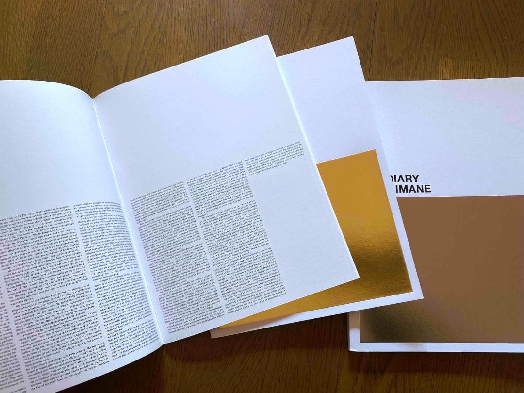 エディ・スリマン「 Rock Diary」Hedi Slimane