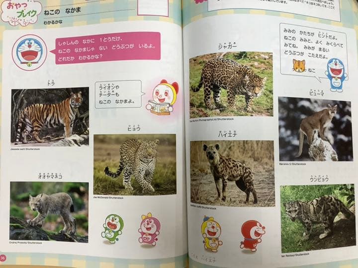 新品未使用と書き込みなし✴︎ぷちドラゼミ年長コース