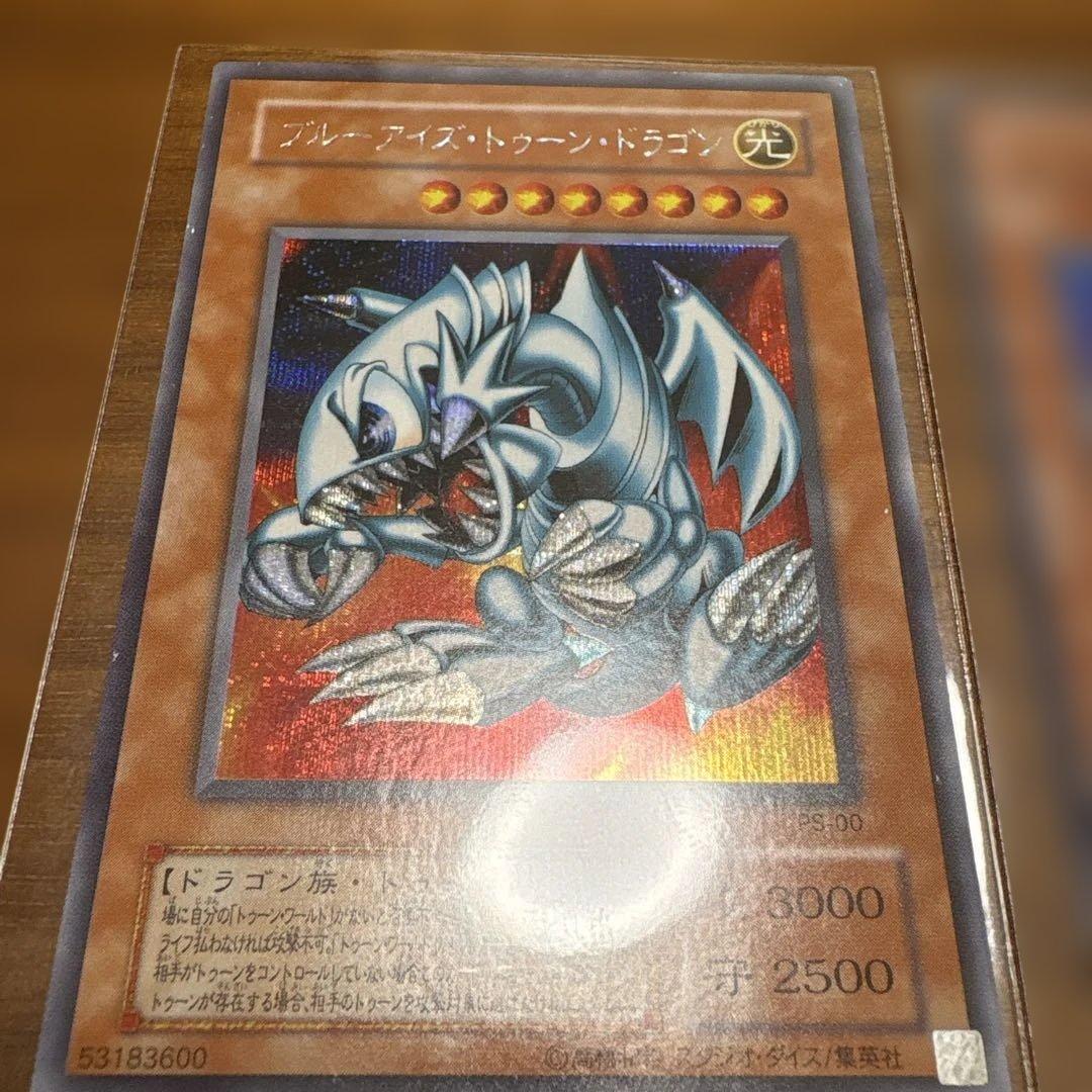 遊戯王 グレート・モス & トゥーン・ドラゴン セット