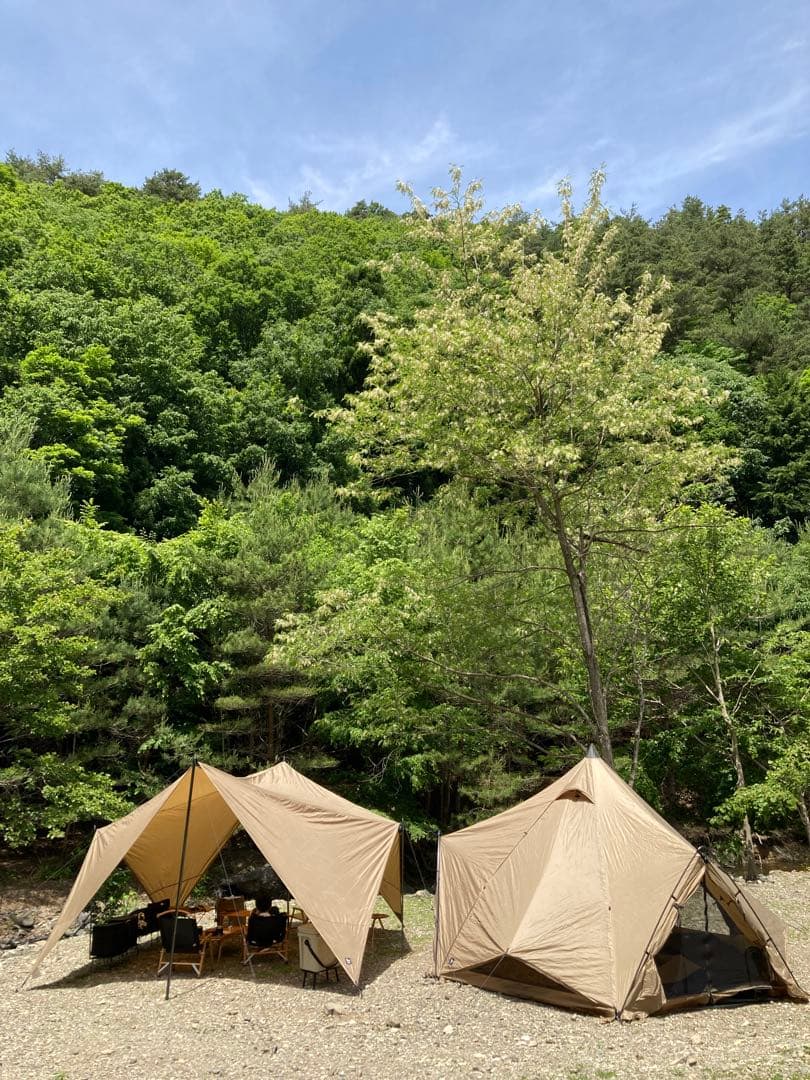 s*a様 ゼインアーツ ゼクーMとゲウのセット（ZEKU-M、GEU）テント、タ