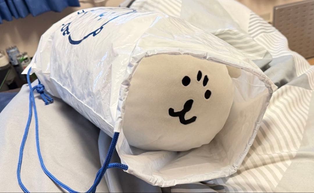 うちのまゆげさん