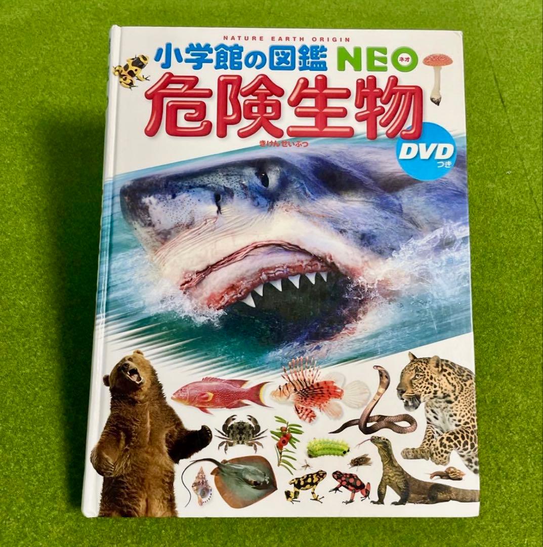 小学館の図鑑NEO 5冊セット　DVD有り