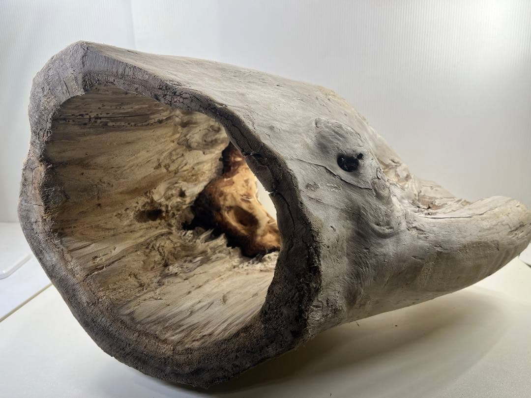 r86特大流木 アク抜き済み 爬虫類シェルター インテリア オブジェ テラリウム