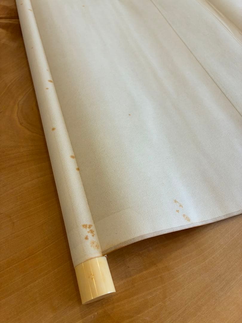 掛け軸 掛軸 菅楯彦 春郊 共箱 2重箱