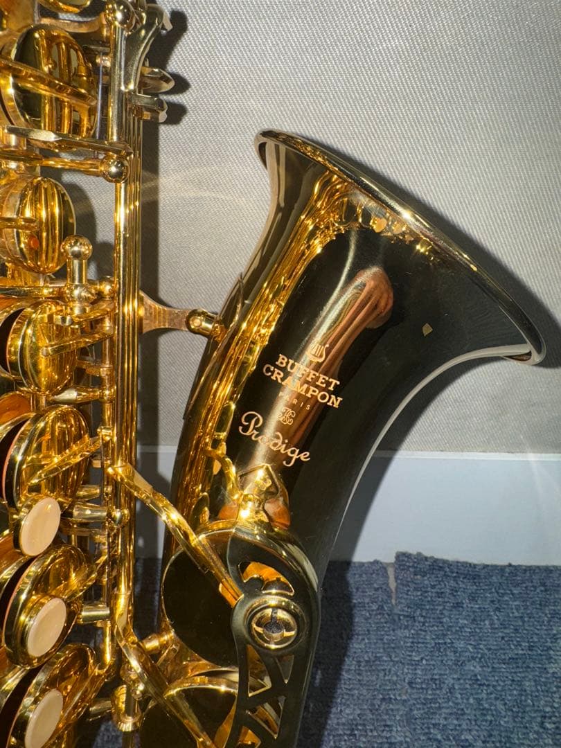 Buffet Crampon Prodige 選定品