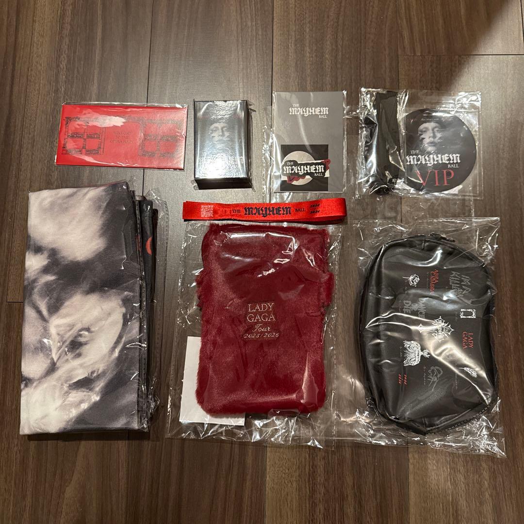 LADY GAGA VIP GOLD グッズ フルセット