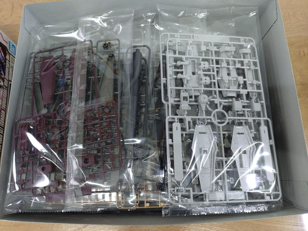 HG ガンダムベース限定　機動戦士ガンダム　サンダーボルト10周年記念Ver.