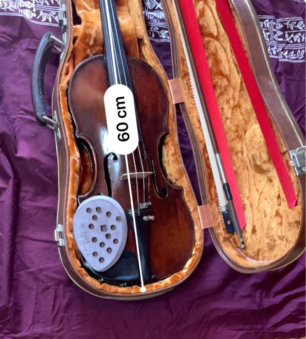 バイオリン セット