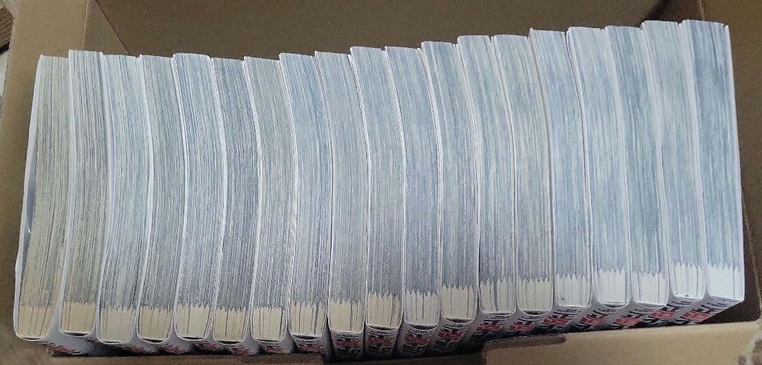 正直不動産１９巻セット