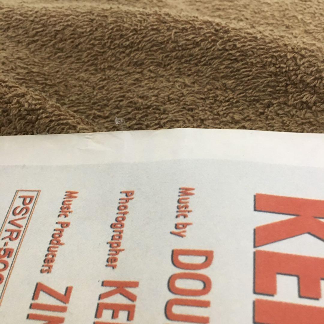 フリッパーズ・ギター　DVD特典ポスター