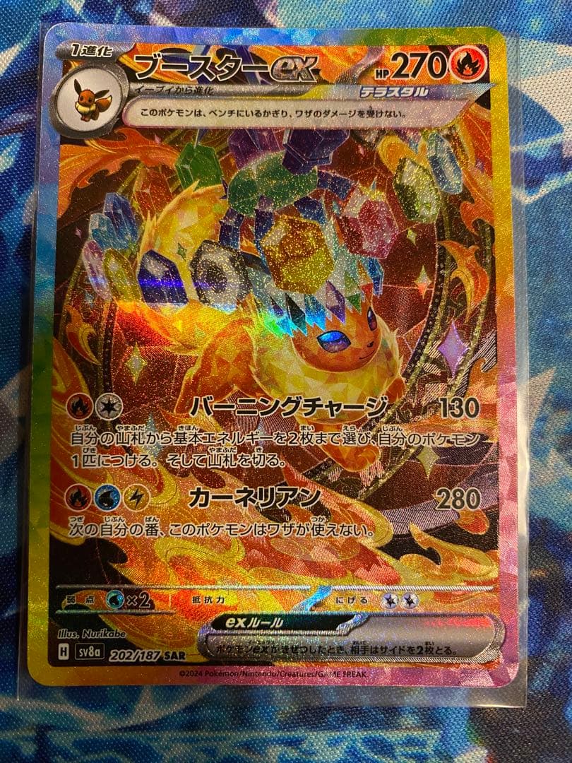 ポケモンカード ブイズ まとめ売りコンプ (テラスタルフェスEX) SAR10種