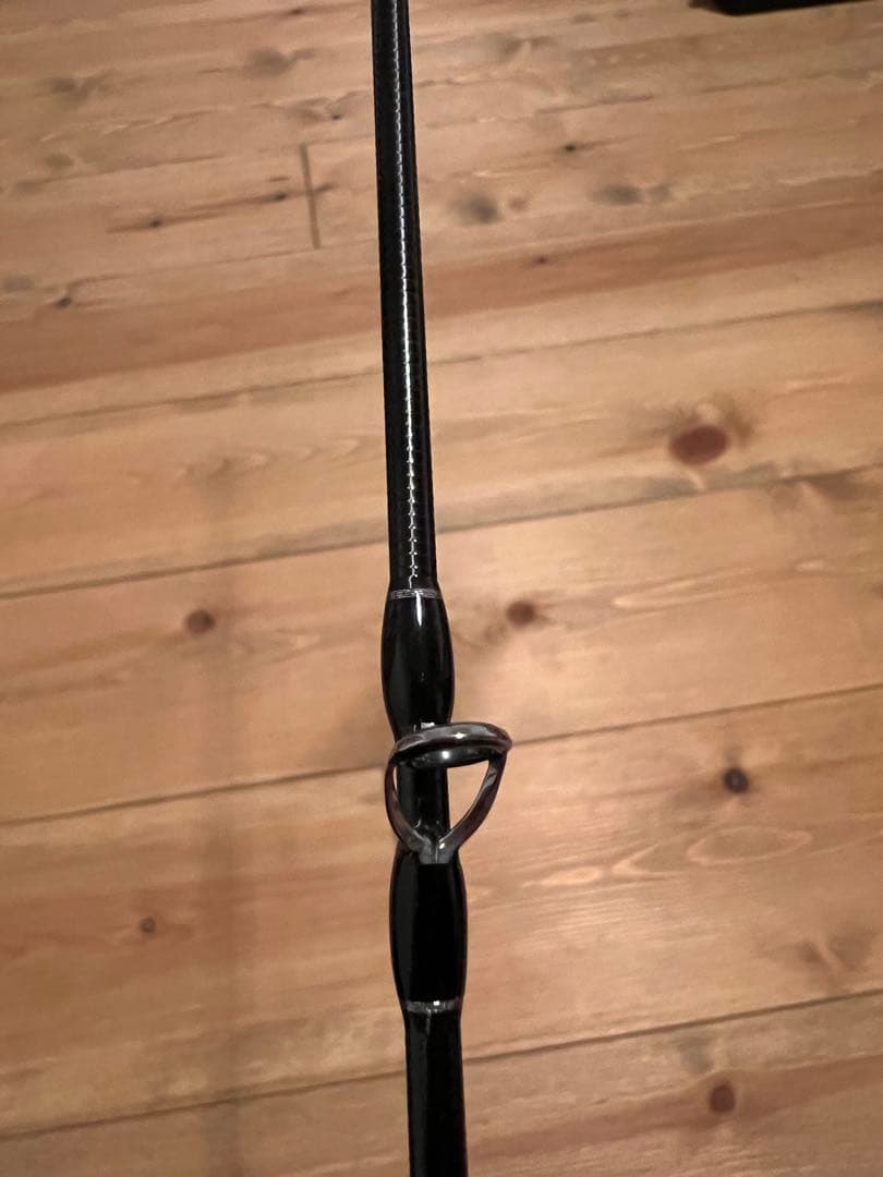 フィッシュマン ブリストマリノ9.9H