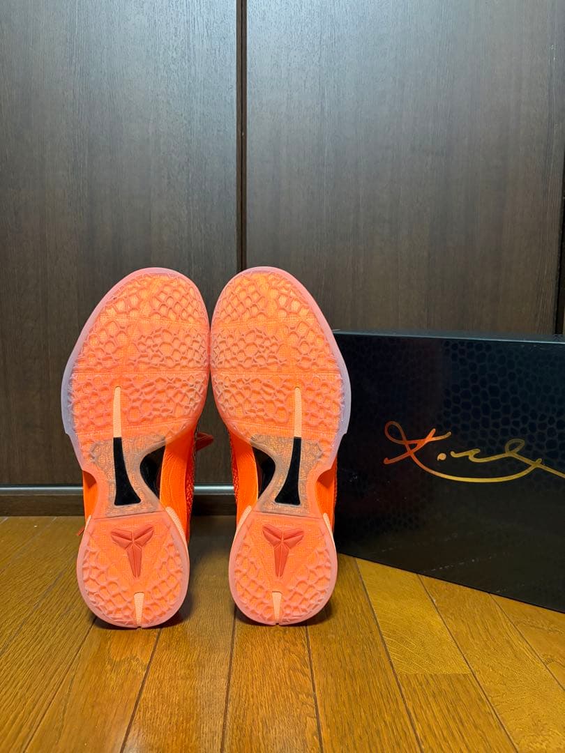 コービー6プロトロ