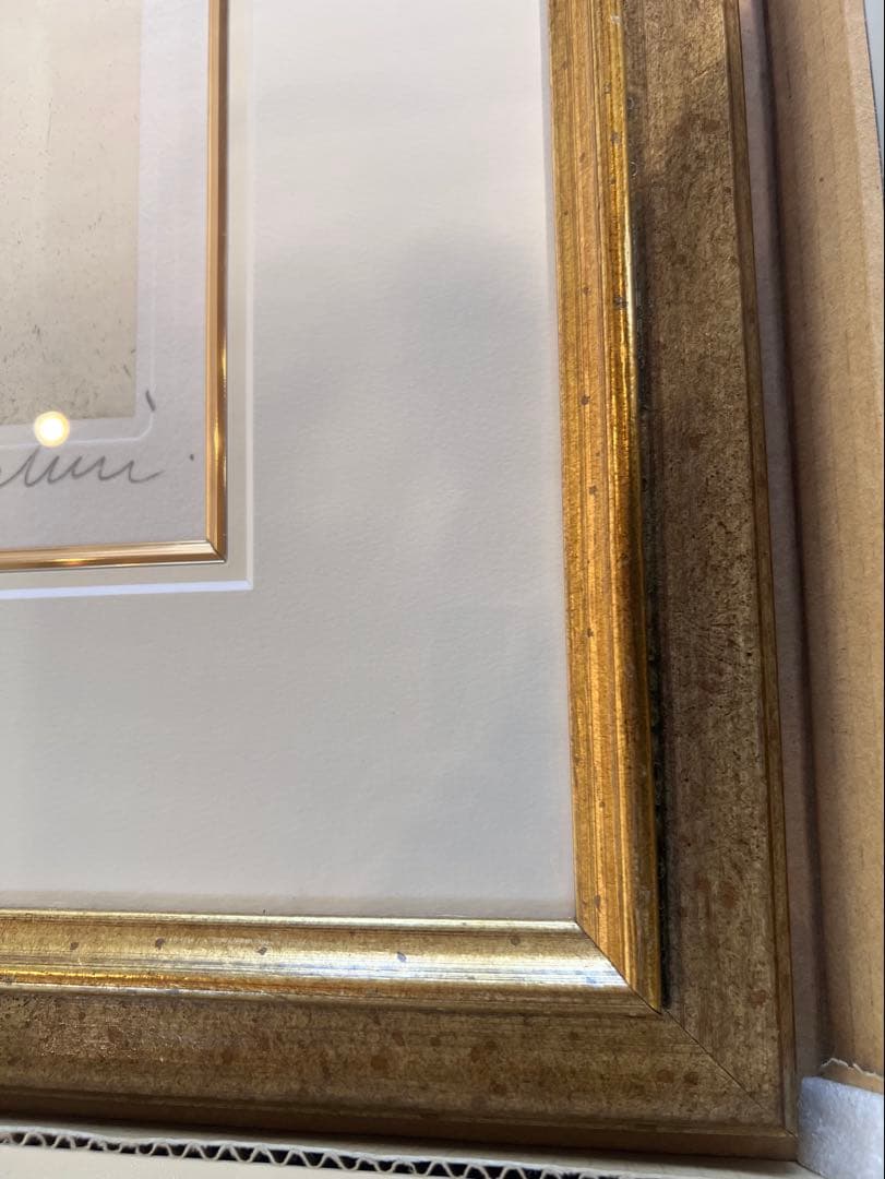 ❣️お値引中❣️バラのリトグラフ版画額装 アレッハンドロ　ノッチェンティーニ作