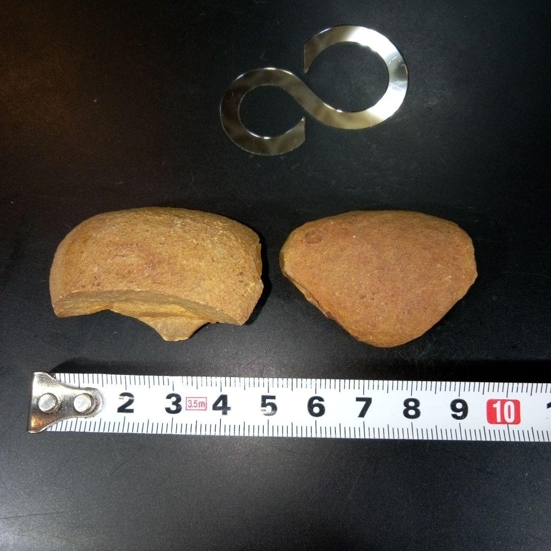 三葉虫　化石　fossil　ボリビア産　レア　Fossil識別⑤　２個セット