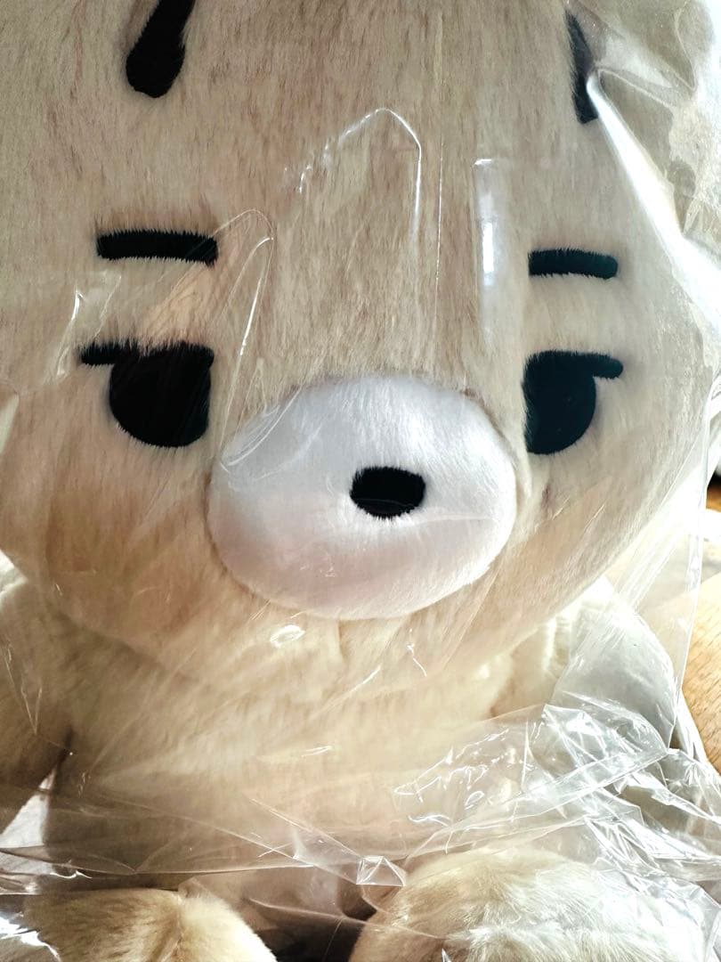 ENHYPEN ニキ　マスター　ぬいぐるみ　40cm おまけ付き