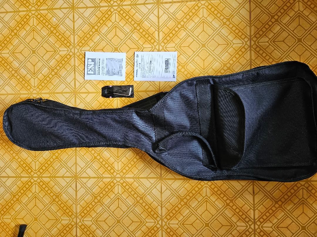 GrassRoots G-LP-CTM BK レスポールタイプ