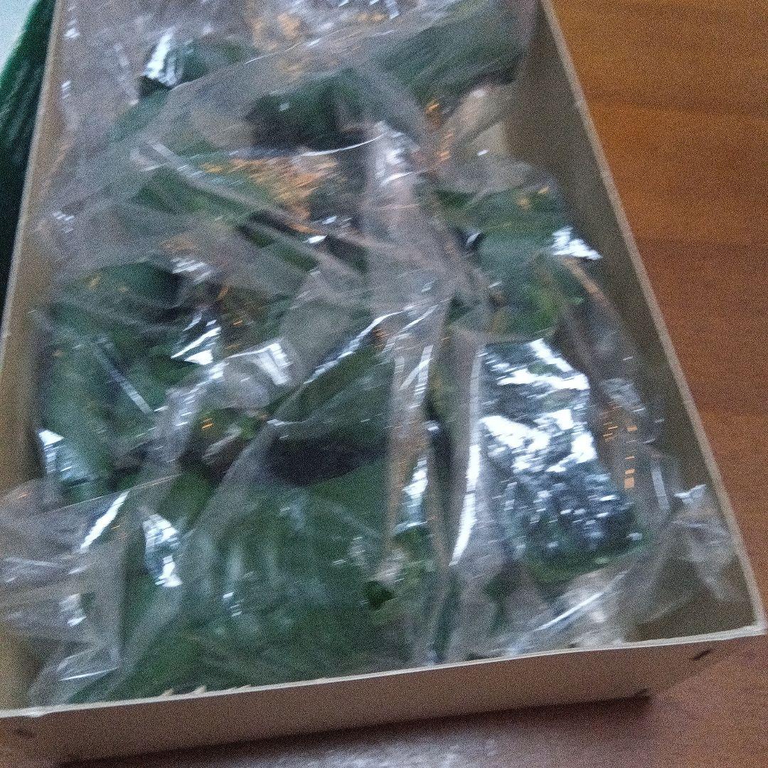 仮面ライダー　アマゾン ソフトビニールキット　東映