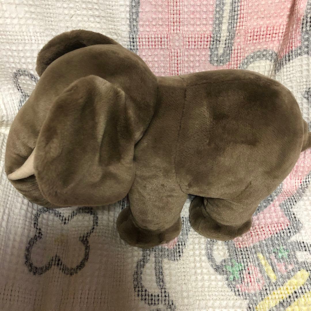 KOSEN ケーセン　象　ぬいぐるみ　中古品