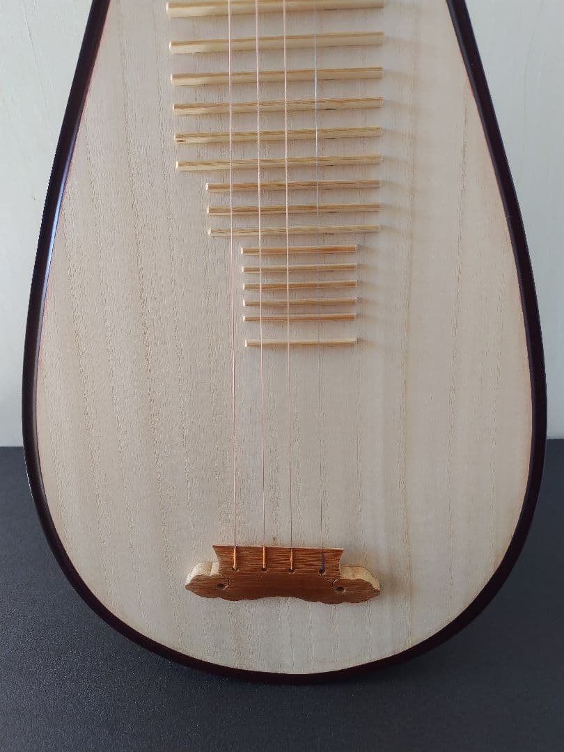 中国琵琶、ケース、弦、DVD