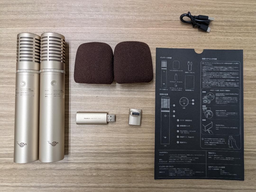 【値下げ・美品】Aladdin Mic 2（アラジン マイク 2）