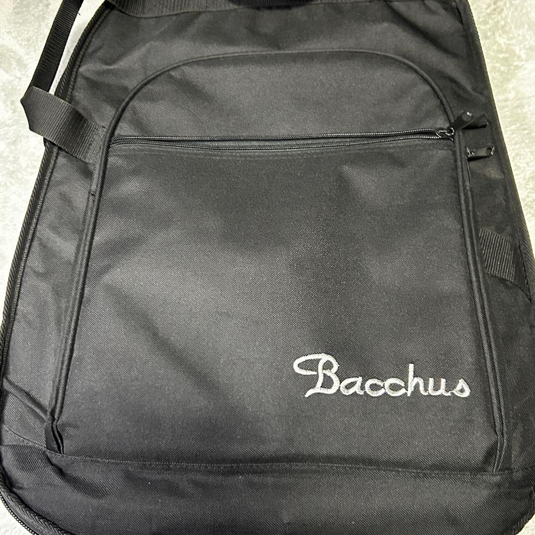 希少 Bacchus WL-434 MAHO R ブルーオイル マホガニーボディ