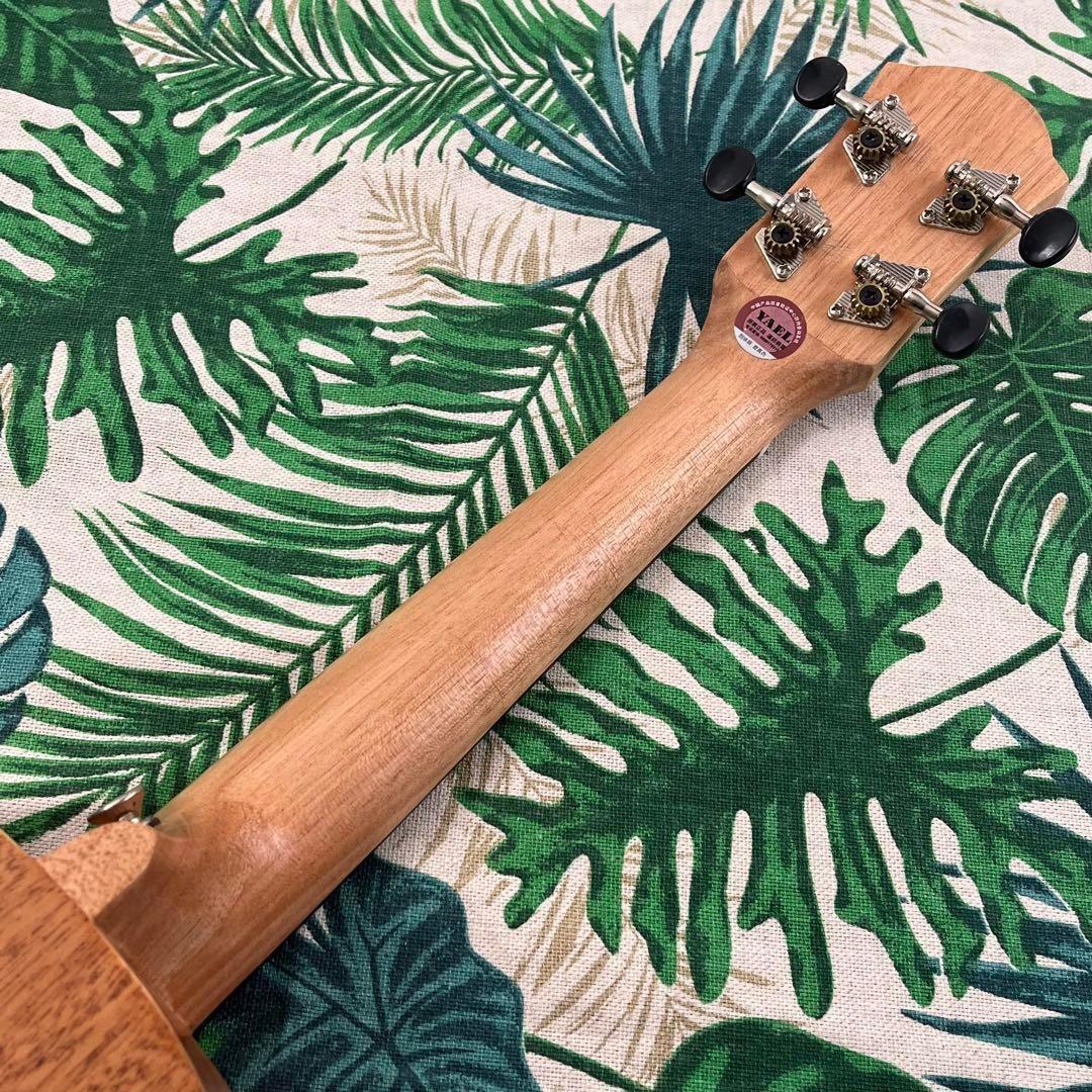 【入門セット】YAELバラ模様のコンサート・ウクレレ【ウクレレ専門店】