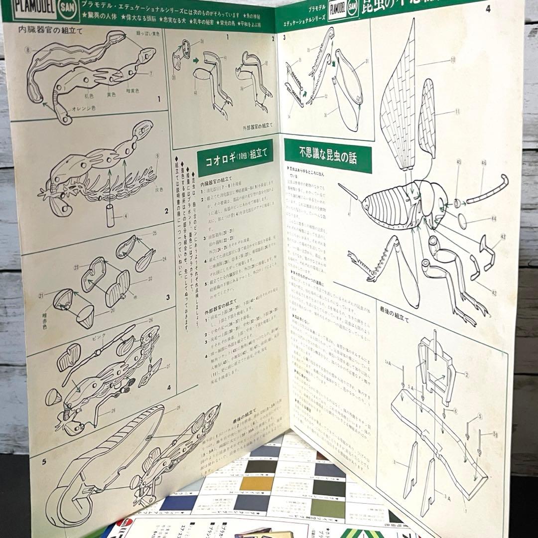 マルサンプラモデル　エディショナルシリーズ　昆虫の不思議　絶版‼︎