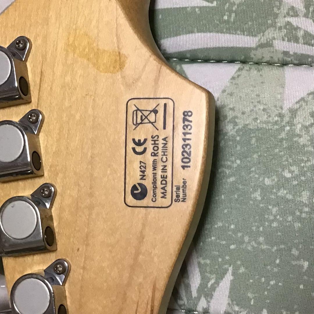 elioth guitar S305 6弦　エレキギターとケース