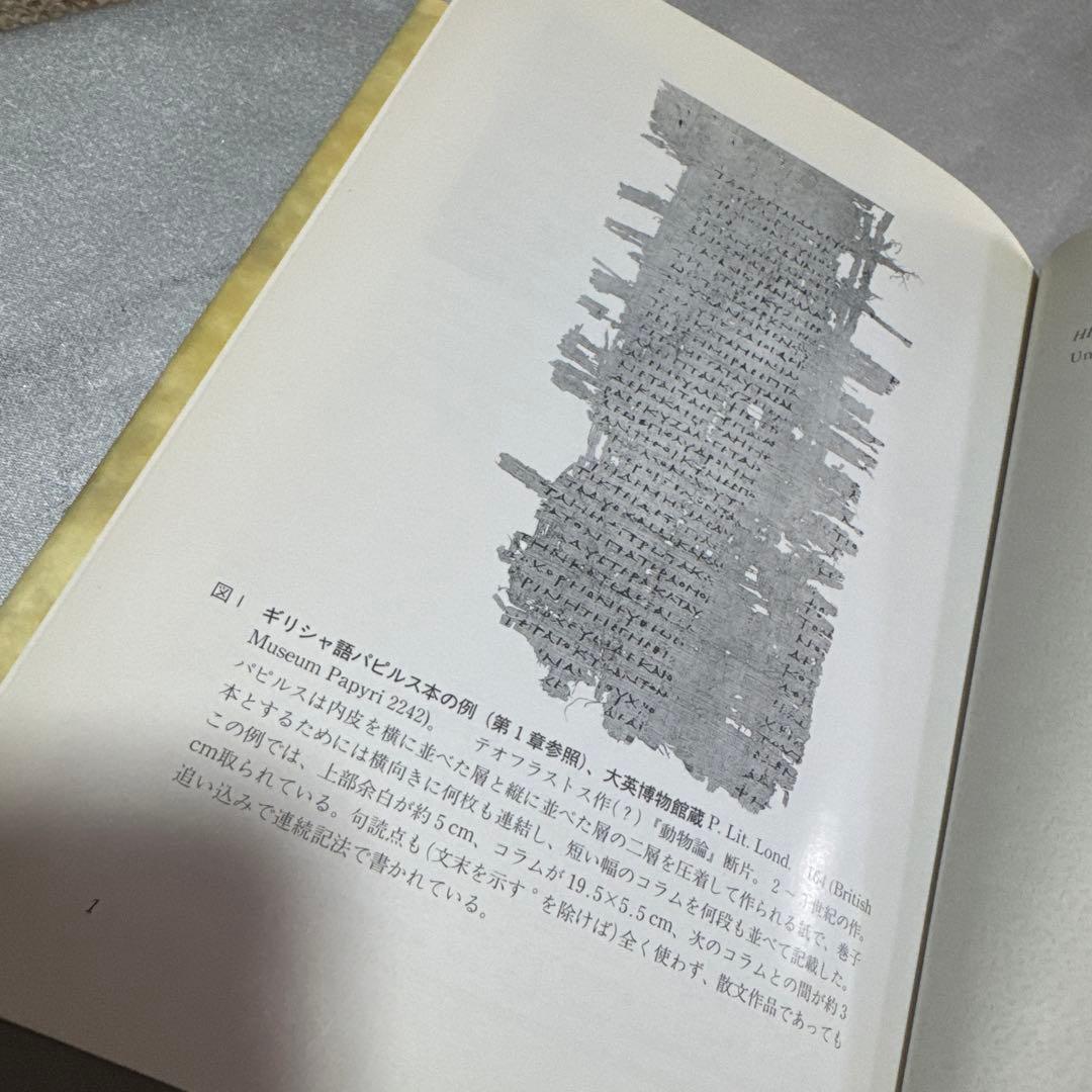 読むことの歴史　ヨーロッパ読書史　【希少本】
