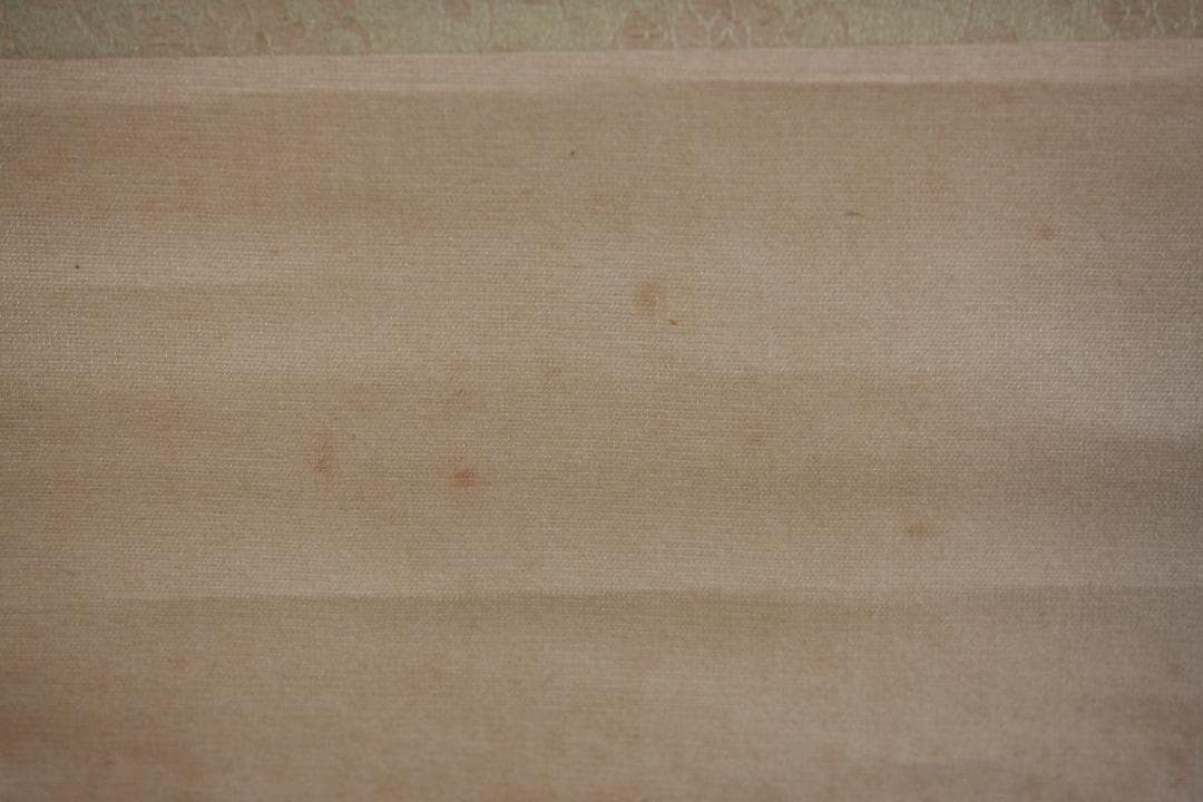 夏山水と船の図　　在銘刻印あり　水墨画　掛け軸