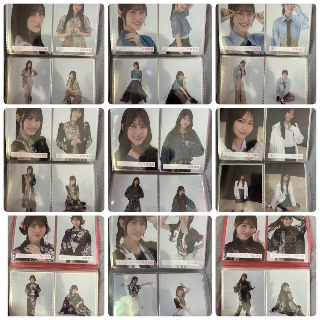 櫻坂46 向井純葉 生写真 コンプ まとめ売り