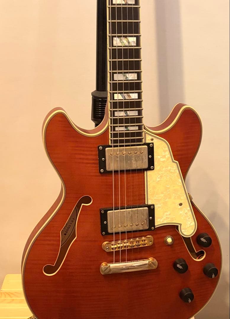 ギター Deluxe Mini DC Limited Edition MWLNT