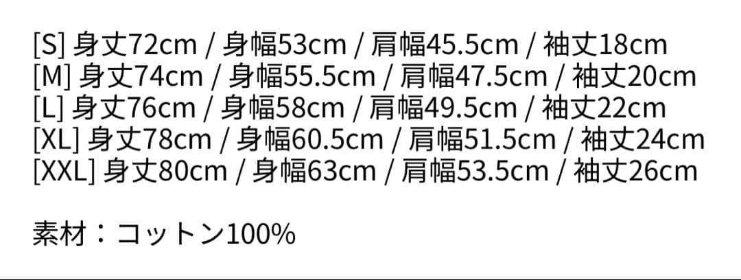 ミュージシャン VANISH DATEBACK SS TEE