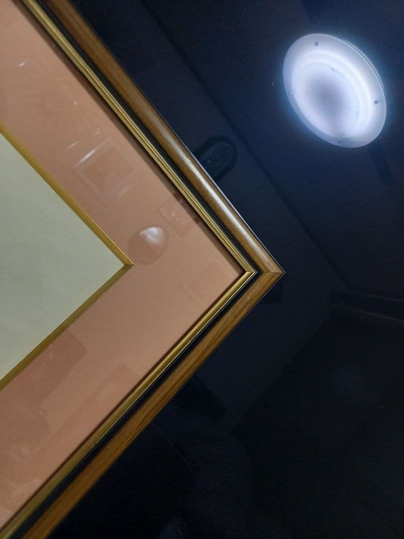 希少　角谷日沙春　美人画　和紙　日本画　記名　押印　有り　額装飾