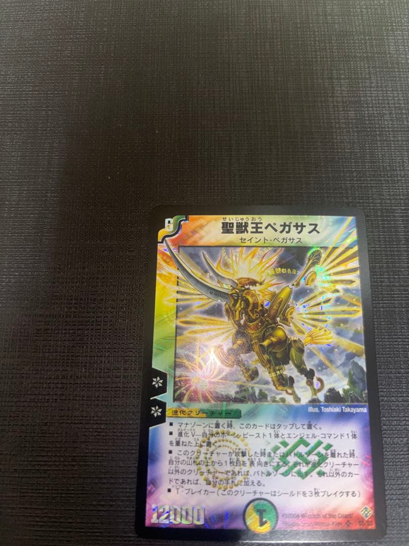 ペガサス 初期 ワンオーナー 美品