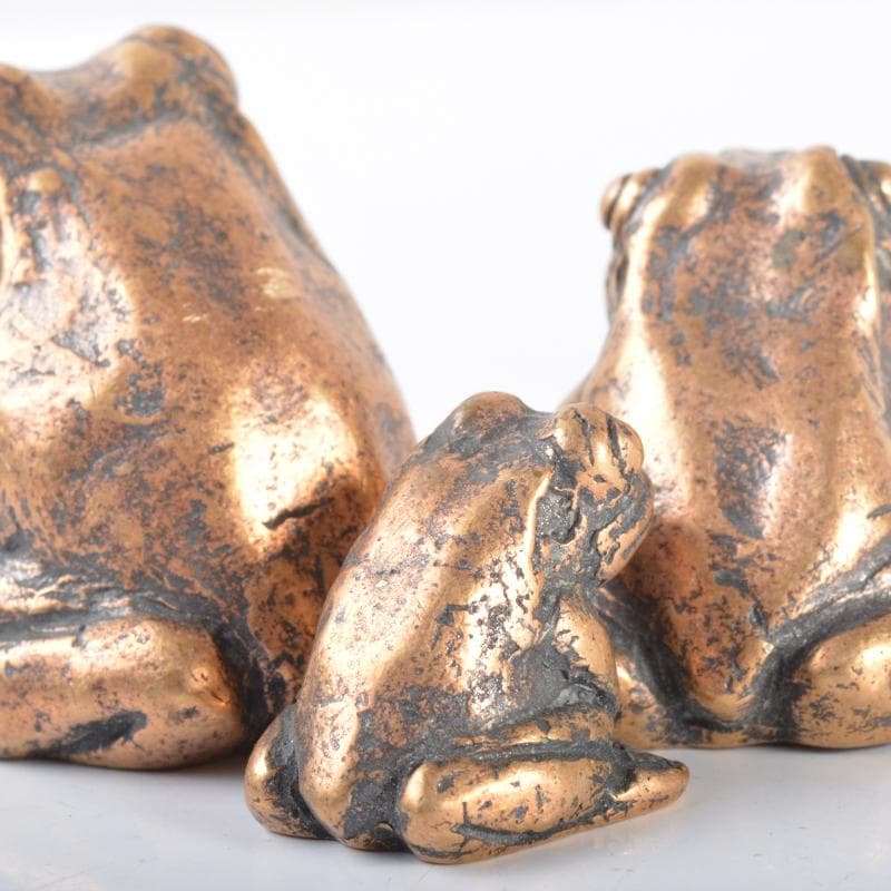 中国　古銅　蛙　紙鎮　置物　3点　N　4217