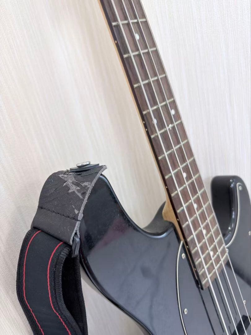 アイバニーズ　GIO N427