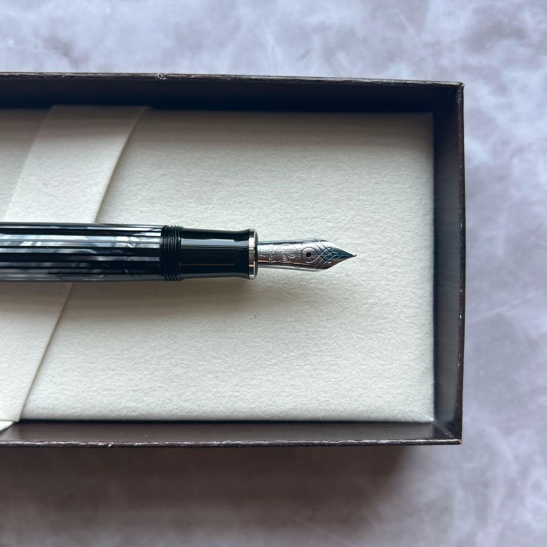 極美品　ペリカン　スーベレーン　m600 ｍ605 トータスシェルブラック　EF