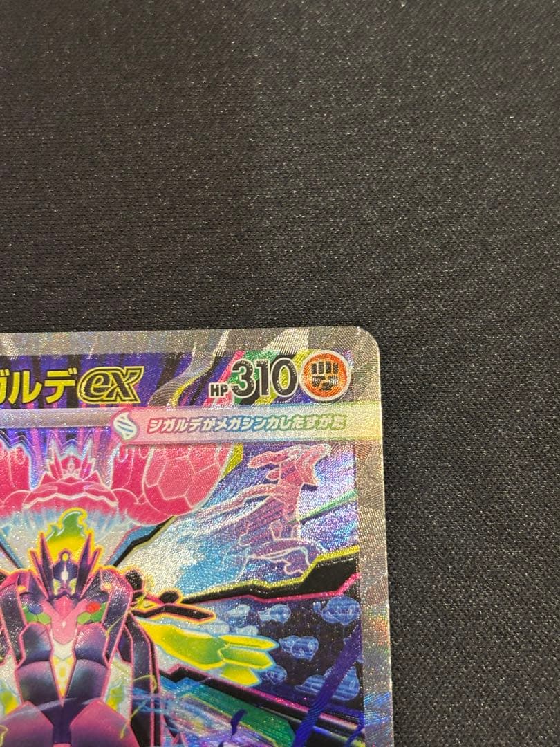 メガジガルデex SAR まとめ売り