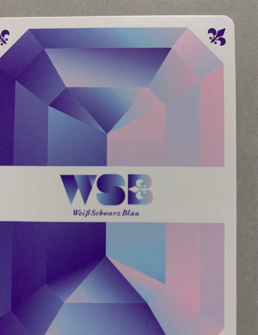 ZINGAI  Eve - 幻夢  SSP  ヴァイスシュヴァルツブラウ　WSB