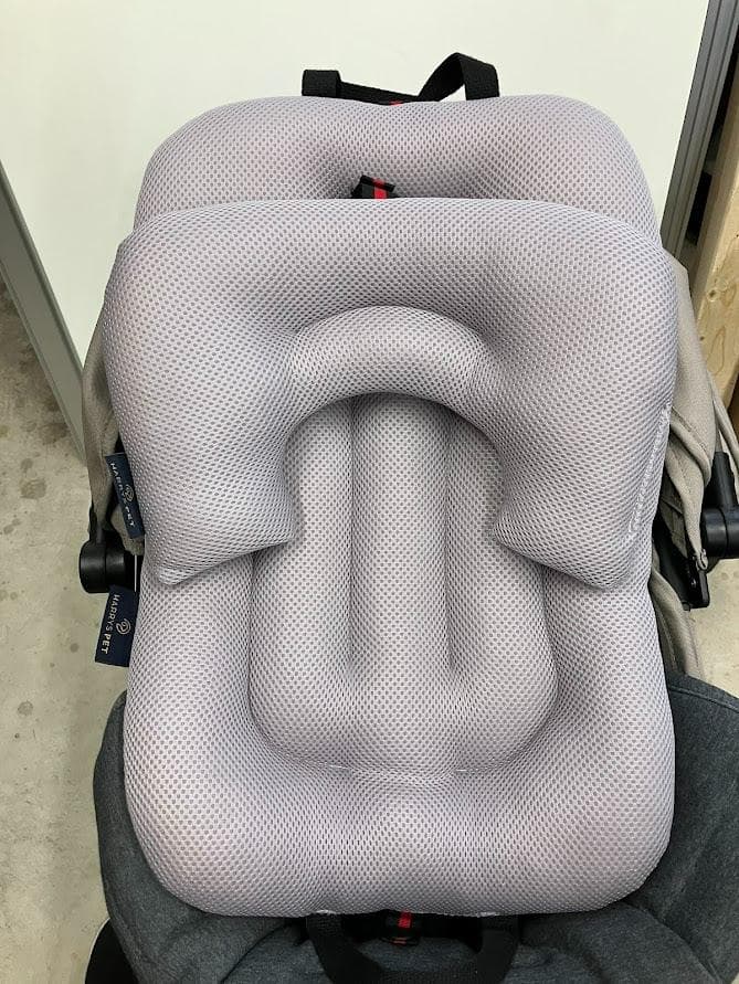 すえ　超美品　AIR BUGGY WIZX ペット用カート