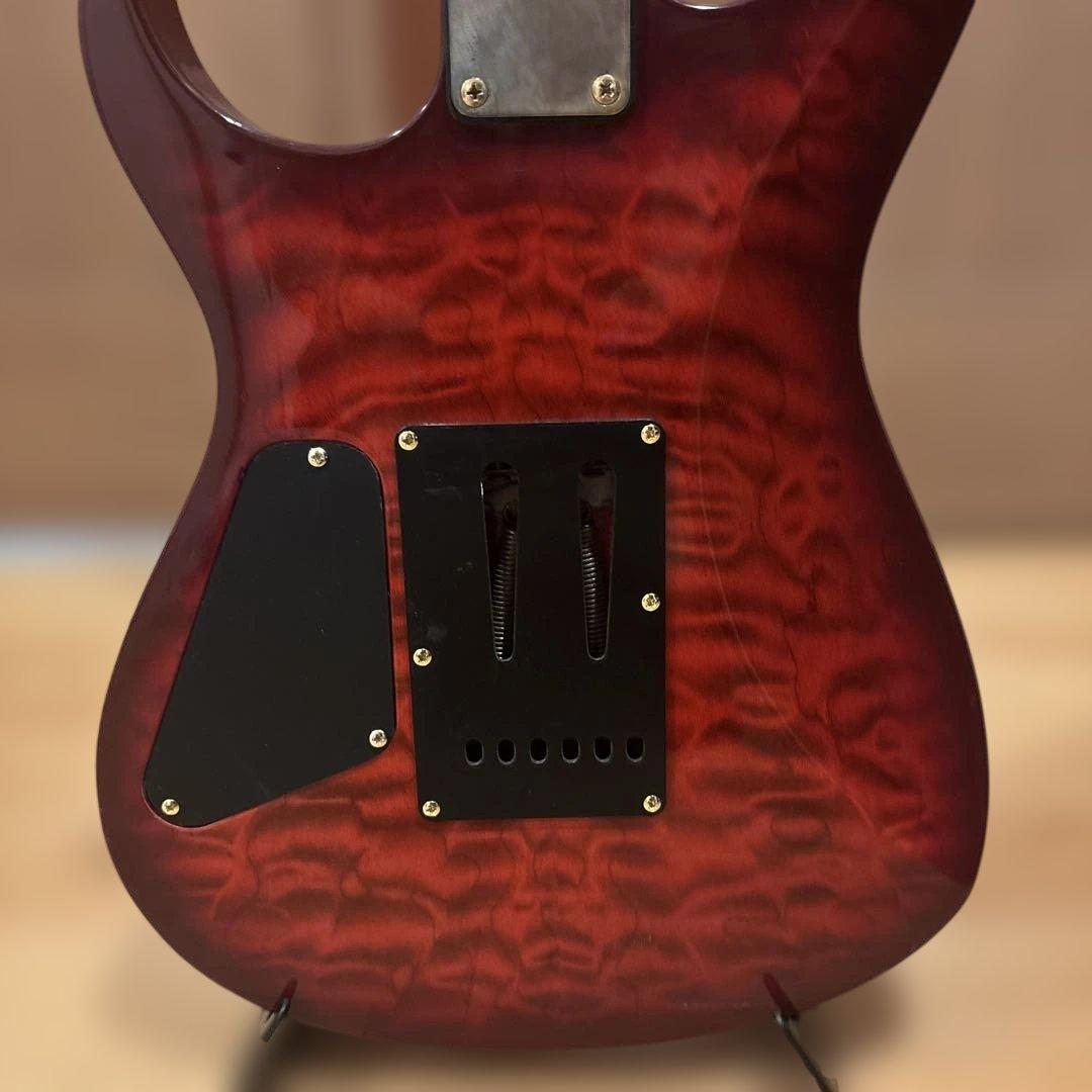 【初心者です】金ロゴ FERNANDES トレモロアーム付・新品弦張替済