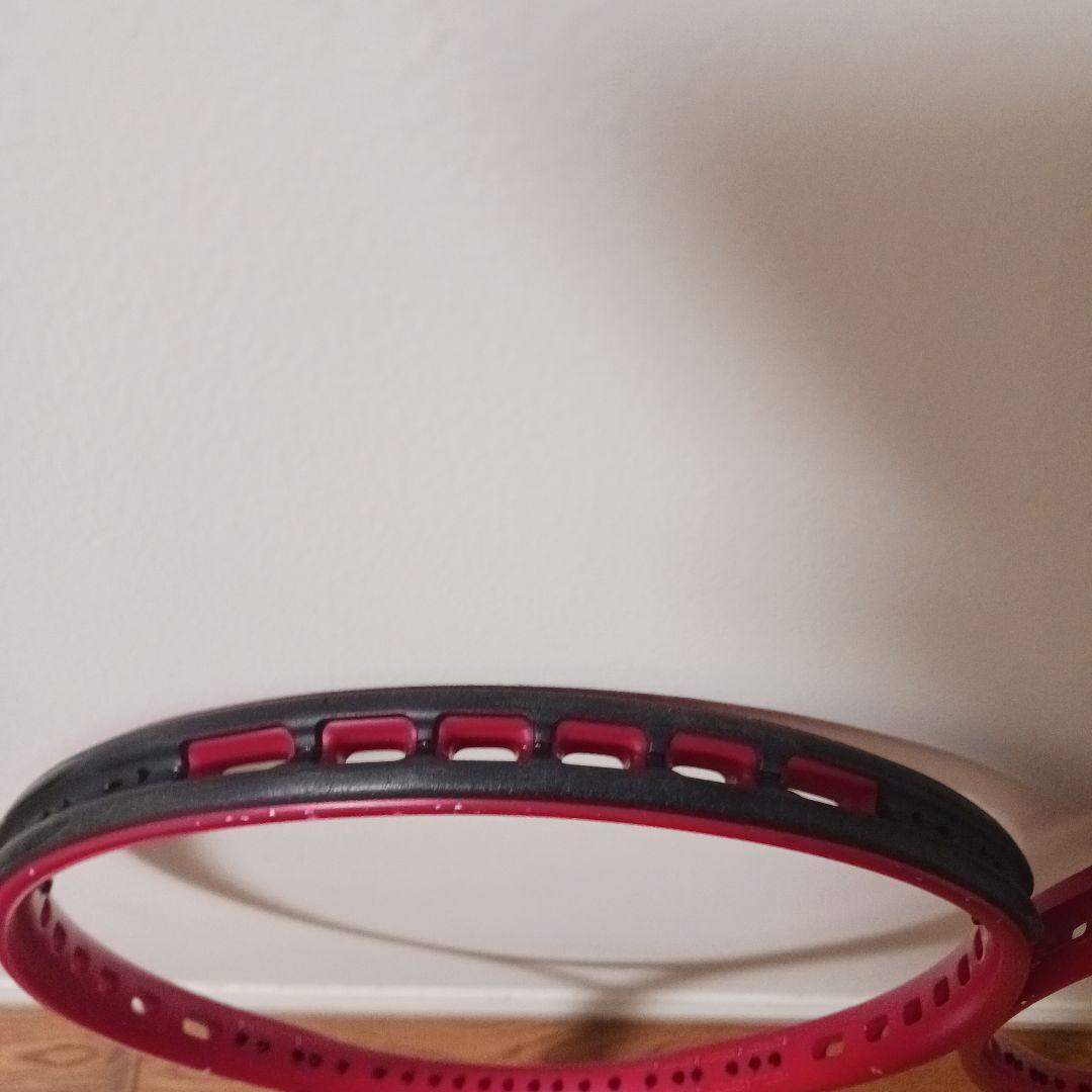 Prince BEAST100 300 2本セット