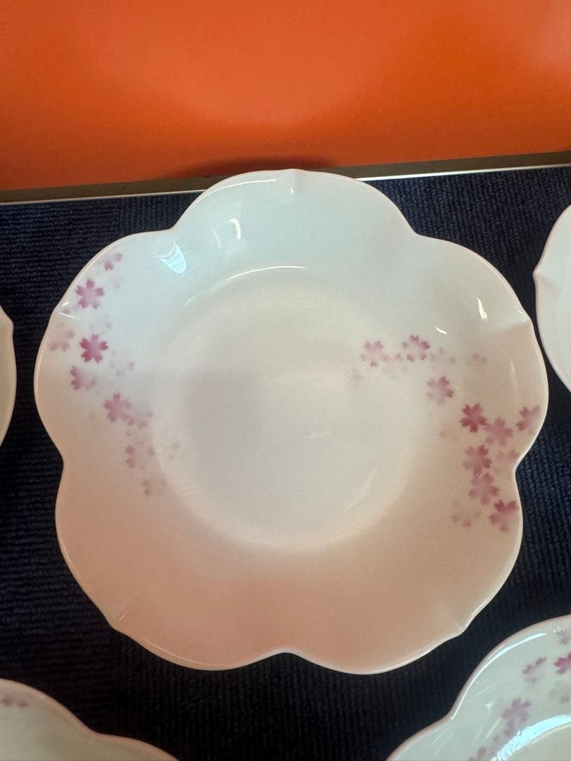 2024 深川製磁　桜　和皿　5客　未使用