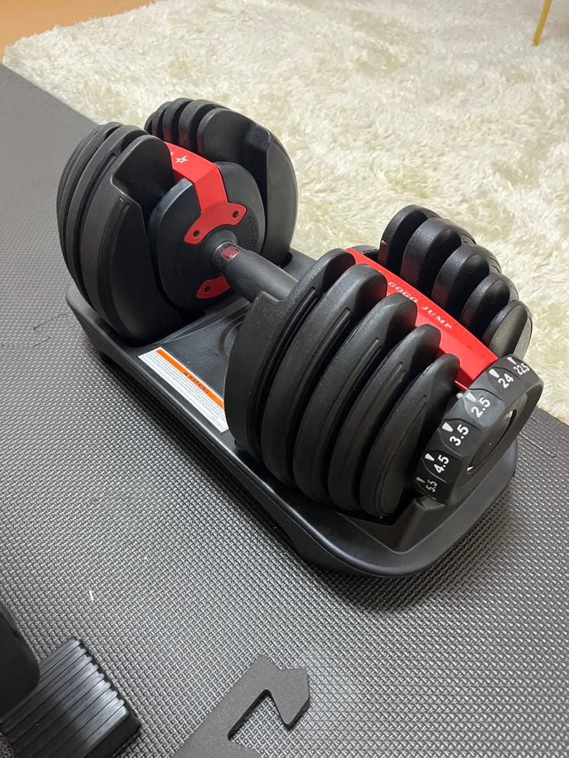 GOGOGUMP トレーニングベンチ 黒/赤 ダンベル、マット付き