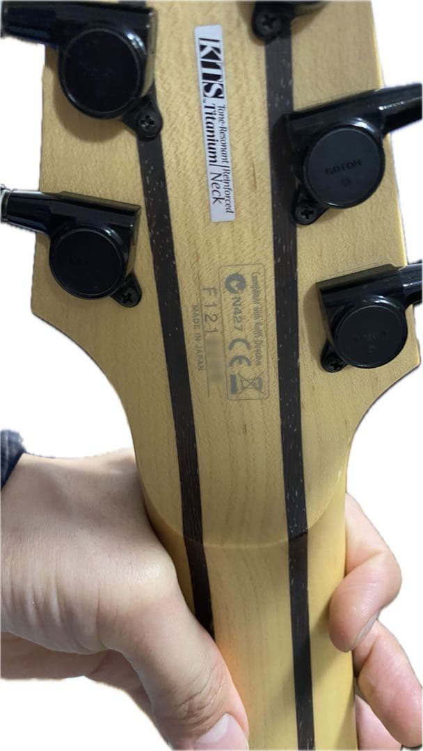 8弦　Ibanez RG Prestige RG2228A