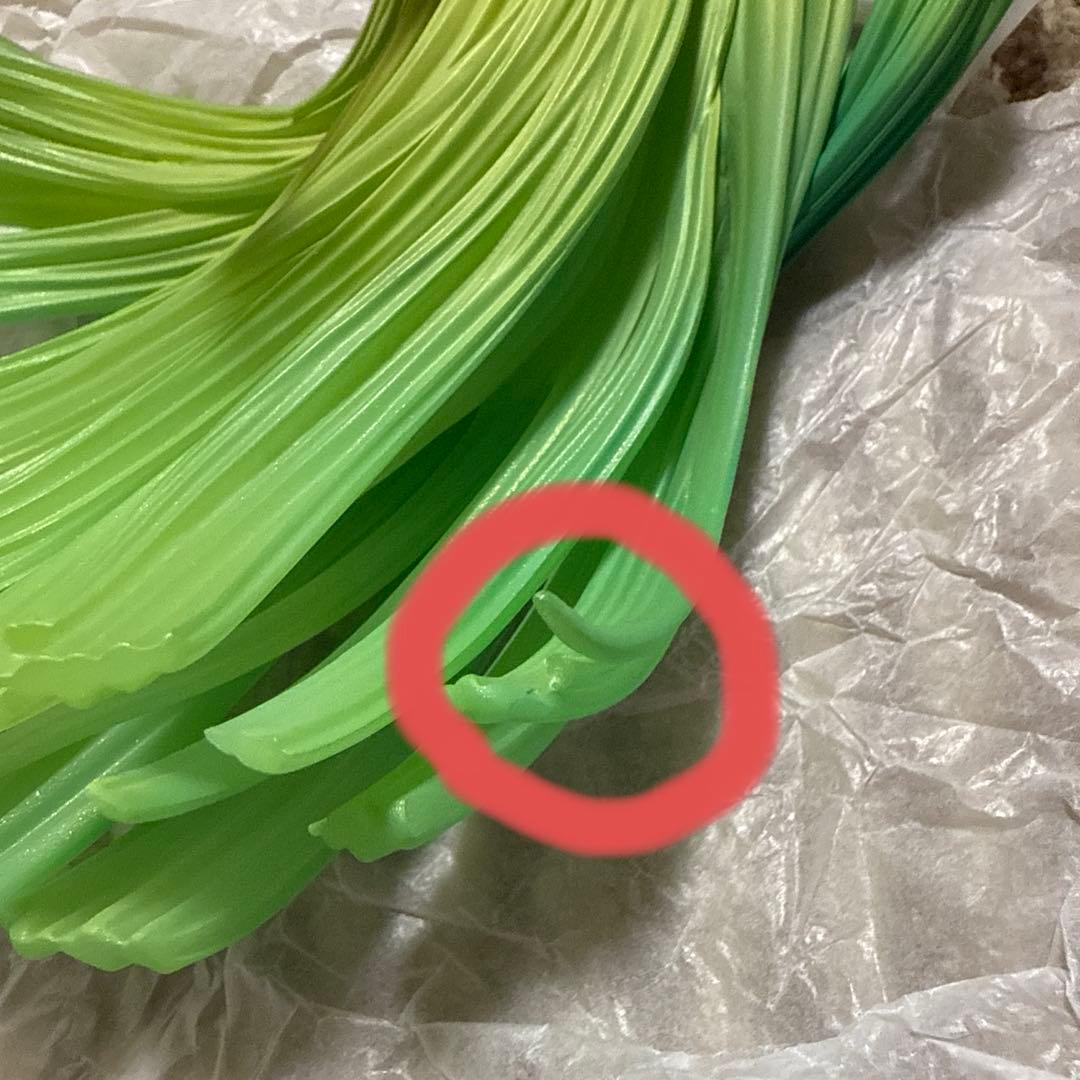 コードギアス　反逆のルルーシュ　R2 ルルーシュ・ランペルージ & C.C.